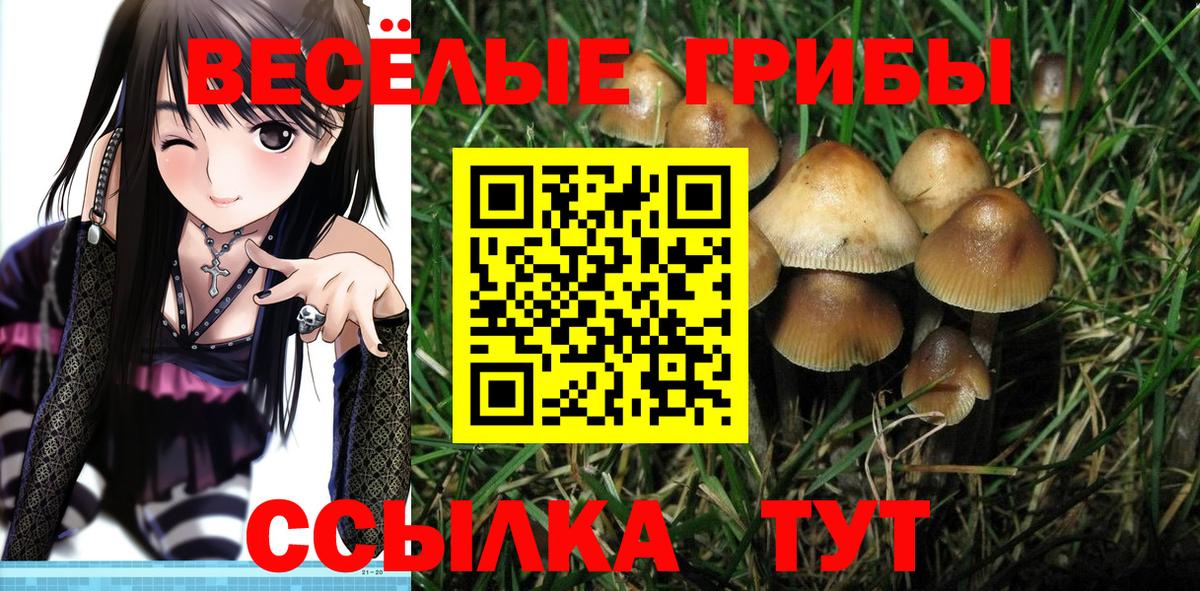 Псилоцибиновые грибы Cubensis  закладка  Куйбышев  Вход с VPN 